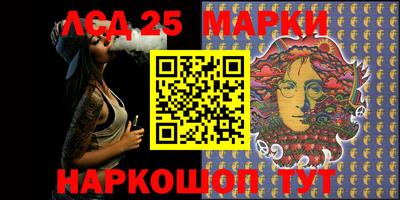 индика Гусев