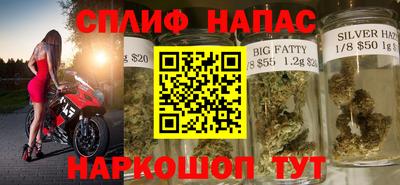 индика Гусев