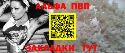 индика Гусев
