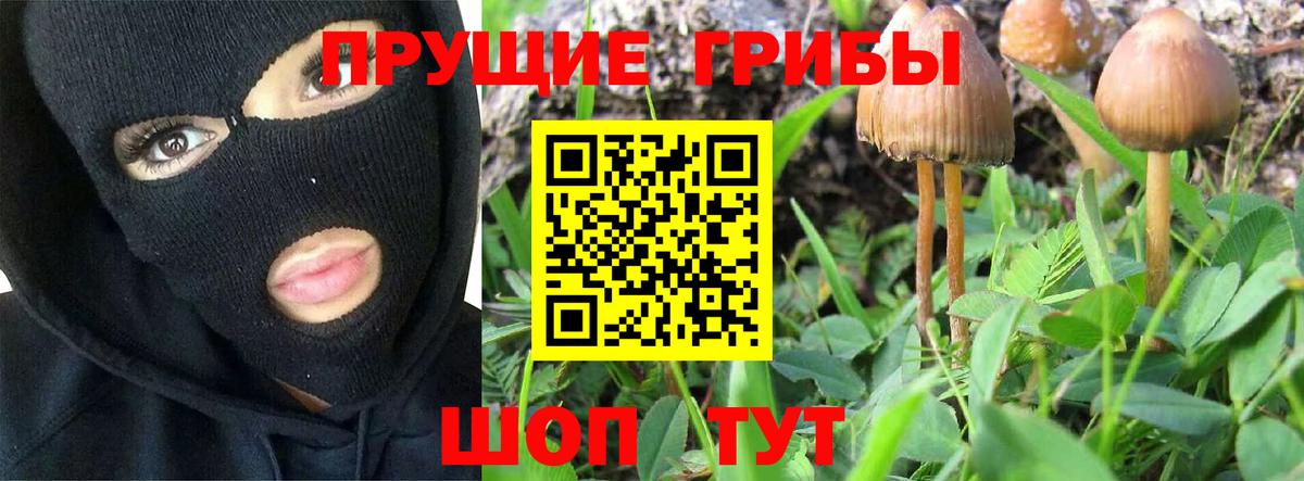 Галлюциногенные грибы мухоморы  Псилоцибиновые грибы Magic Shrooms  Кисловодск  Вход с VPN 